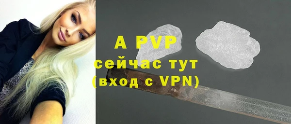 стафф Зеленокумск