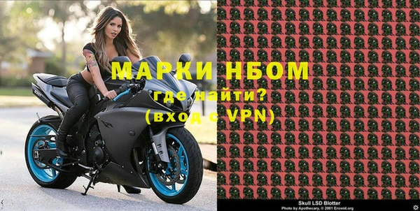 стафф Зеленокумск